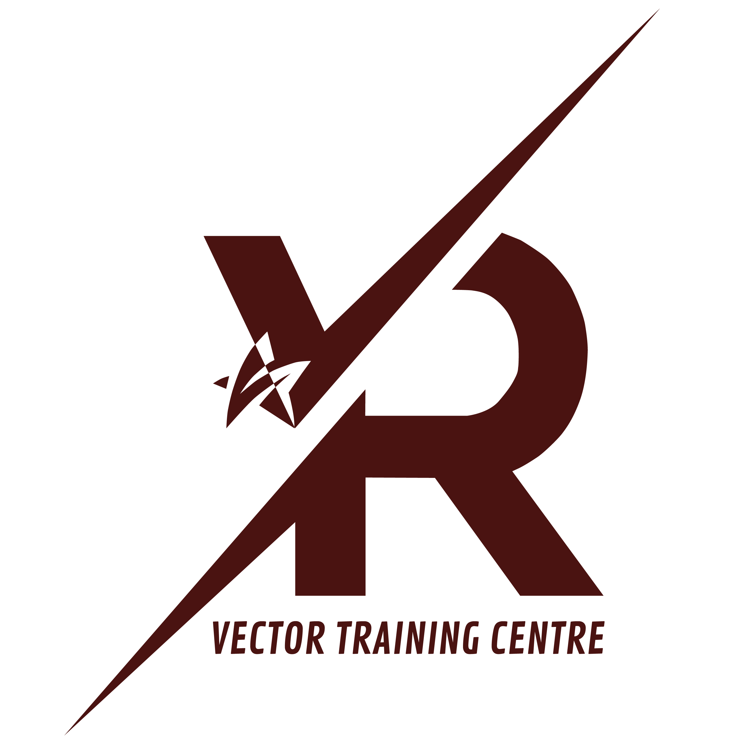Vector Training Center
